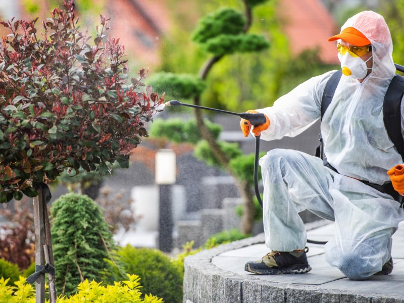 Yenice Haşere İlaçlama